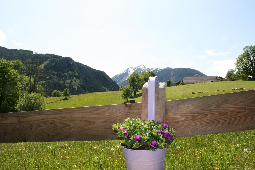 Ferienwohnung Haus Bergliebe Schladming Exterior foto